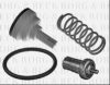 BORG & BECK BBT319 Thermostat, coolant